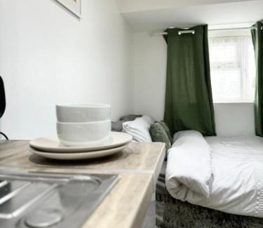 Woolwich Common House | Light & Lamp, En-Suite Studio, in Woolwich