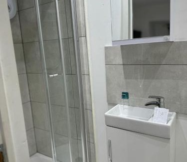 Woolwich Common House | Light & Lamp, En-Suite Studio, in Woolwich