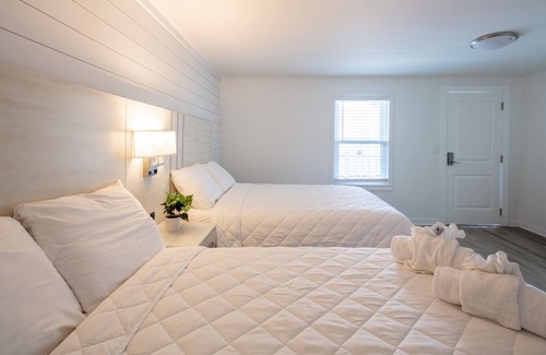 Downtown Myrtle Beach Hotel | Lily & Bloom