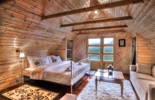 Velika Plana Ski Chalet | Linden Tree Retreat & Ranch