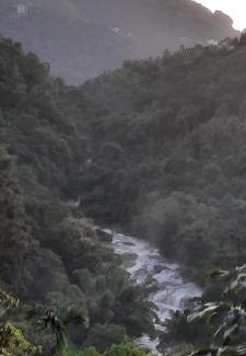 Devikolam House | Linn View Home Stay Munnar