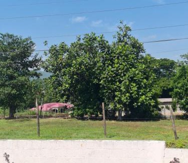 Linstead Apartment | Linstead AirB&B