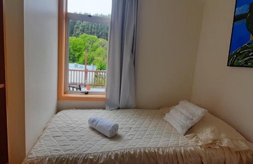 Dunedin Bed & Breakfast | Lioness Estate - Dunedin