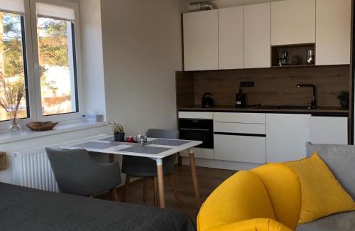 Lipno nad Vltavou Apartment | LIPNO, apartmán RIVIÉRA LIPNO 511-16