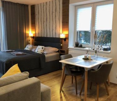 Lipno nad Vltavou Apartment | LIPNO, apartmán RIVIÉRA LIPNO 511-16