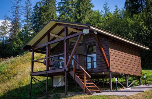 Slavske Hotel | Lisoviy Zatyshok, z vidkrutum litnim baseynom,чан-джакузі