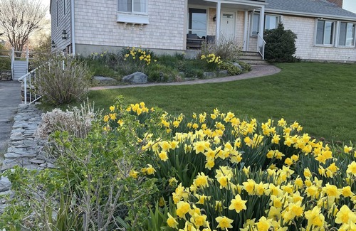 Little Compton House | Little Compton: Sweeping ocean view, 5min walk 2 beach, big yard w/patio, 4 BRs