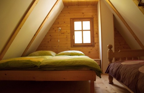 Trenta House | Little cottage Viharnik with mountain views