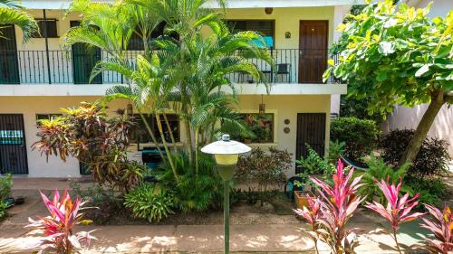 Coco House | Little Dreams Charming Ground Studio