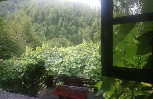 Bajina Basta Cabin | Little heaven 2