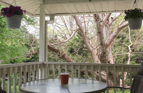 Rutherfordton Cottage | Little Yellow House at Holly Ridge Farm- near TIEC