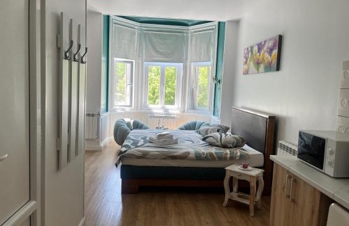 Centrul Vechi Apartment | Livada Studio Apartments