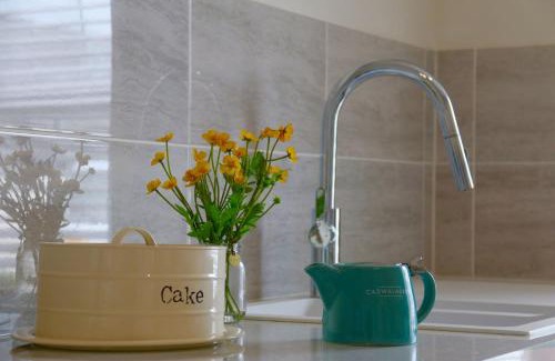 Porthmadog Apartment | Lloydia