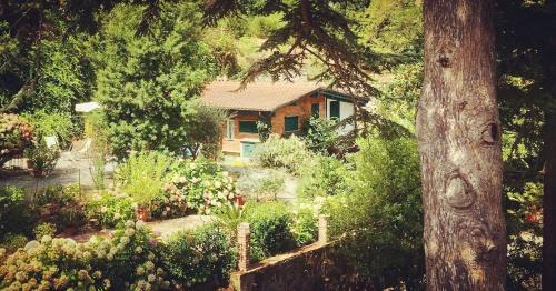 Cinque Terre Villa | Lo Sceriffo delightful villa in dreamy garden
