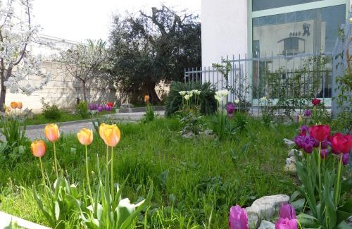 Matera Apartment | Lo Scrigno