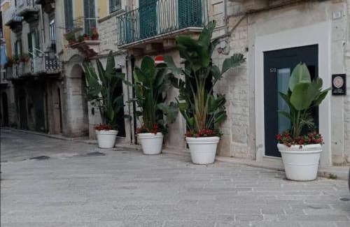 Trani Apartment | Locus Pendinelli Trani 53-The philosophy of a bb, the details of a Hotel