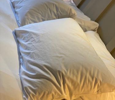 Mansfield Hotel | Lodge at Tap Haus