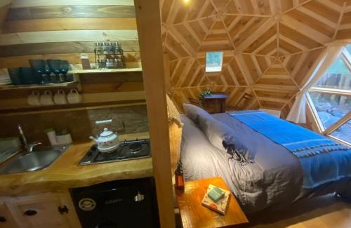 Pucon House | Lodge Domos Awen