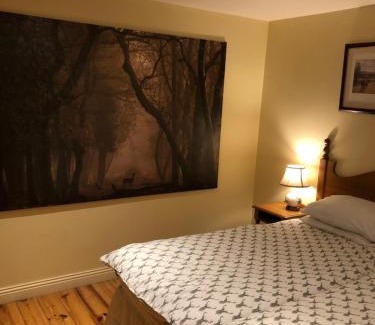 Portumna Ski Chalet | Lodge in Portumna Ireland