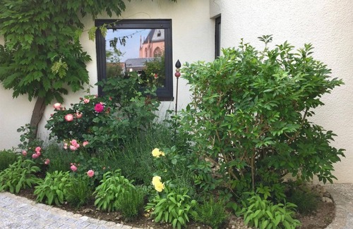 Mainz-Bingen Apartment | Loft 1 - 45 sqm/apartment, shower, WC - Oppenheim Lofts