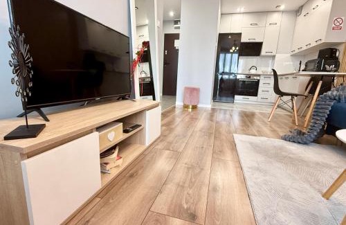 Gorzow Wielkopolski Apartment | Loft Apartament 1