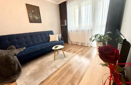 Gorzow Wielkopolski Apartment | Loft Apartament 1
