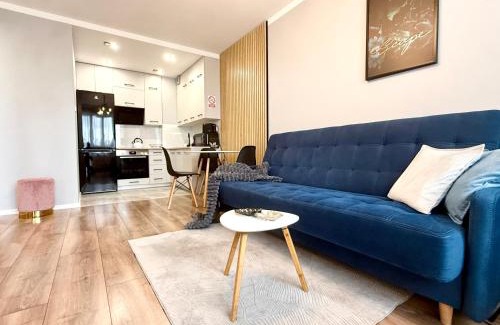 Gorzow Wielkopolski Apartment | Loft Apartament 1