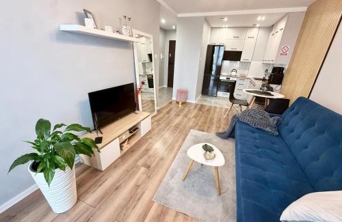 Gorzow Wielkopolski Apartment | Loft Apartament 1