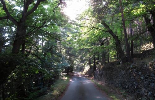 Saint-Jean-Chambre House | Loft de Charme La Rose Désirée