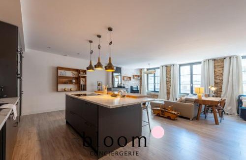 Saint Nicolas - Charles III - Ville vieille - Trois Maisons - Leopold Apartment | Loft de Standing Nancy plein coeur