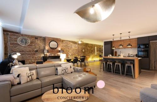 Saint Nicolas - Charles III - Ville vieille - Trois Maisons - Leopold Apartment | Loft de Standing Nancy plein coeur