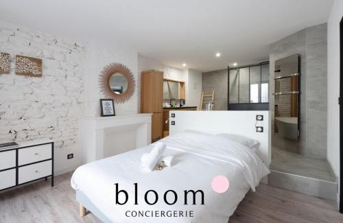 Saint Nicolas - Charles III - Ville vieille - Trois Maisons - Leopold Apartment | Loft de Standing Nancy plein coeur