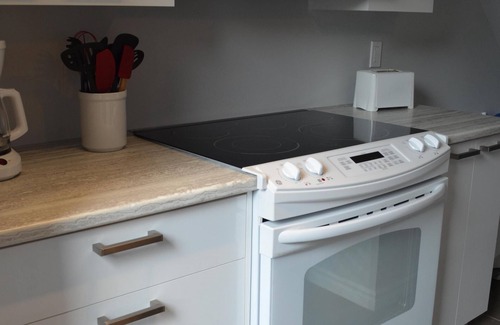 Rouyn-Noranda Apartment | Loft with bed and sofa bed on the rue Principale (Le Chic-urbain)