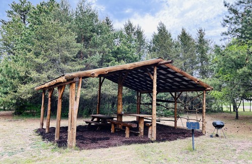Thompsonville House | Log Cabin. Only minutes from Crystal Mountain!