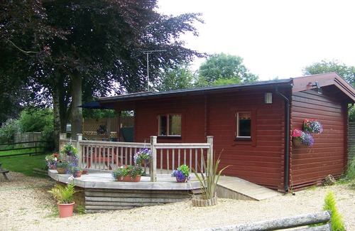 New Forest District Cabin | Log Cabin Private Hot Tub & Swimming Pool ,Adults Only,New Forest National Park
