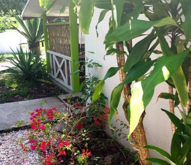 Sainte-Anne Apartment | Logisrev