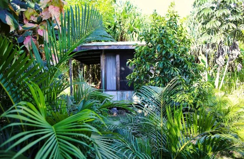 Waa Waa House | Loloma Jungle Cottage near Ocean