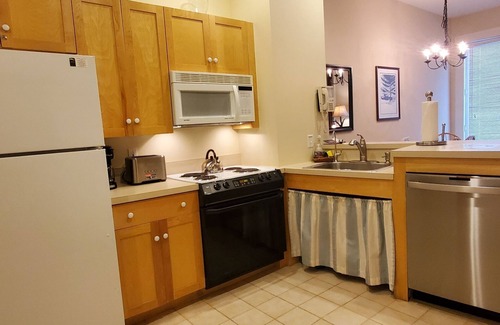 Stratton Mountain Apartment | Long Trail at Stratton Mtn! Easy walk to Gondola/lifts-5 Star Reviews!