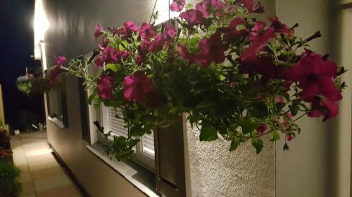 Looe House | Looe Holiday Home Cornwall Sleeps 2 Self Catering No Pets