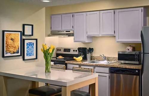 White Station Apartment | Look No More! w/ Parking, Pets Allowed Near Children's Museum of Memphis!