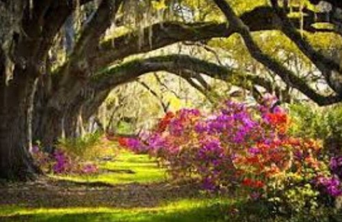 Johns Island Apartment | Loo’s RoostnA small suburban farm setting with Charleston area amenities
