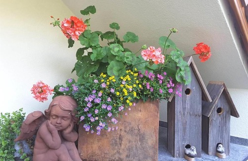 Silbertal Apartment | Loretz Luzia