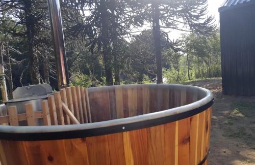 Malalcahuello Ski Chalet | Los Cantos del Agua
