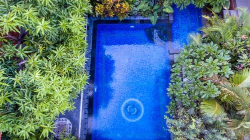 Downtown Kuta House | Losmen Cempaka 3