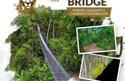 La Fortuna Hotel | Lost Iguana Resort and Spa