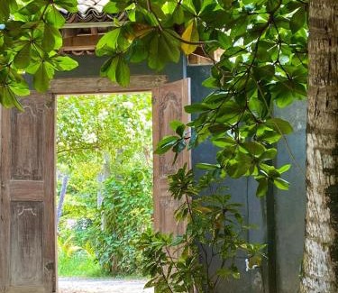 Midigama Hotel | Lotus Surf House