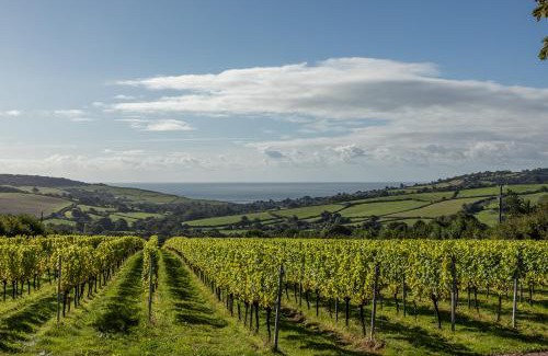 Bridport Hotel | Louma Farm and Retreat