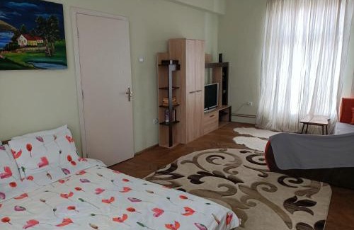 Sector 3 Apartment | Lovely apartament in Bucharest, Baba Novac area