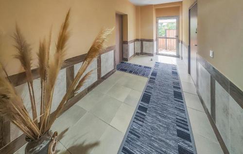 Saint-Chinian Apartment | Lovely Apartment In Saint Chinian