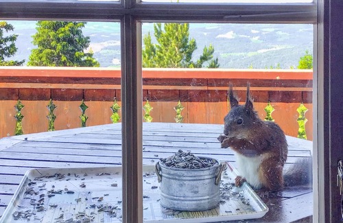 yer House | Lovely home in øyer with WiFi